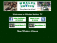 markwillandvideo.com