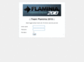 teamflaminia.com