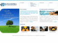 hse-management.com