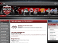 minwisaaaelitehockeyleague.com