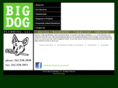 bigdogplbg.com