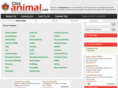 clickanimal.com