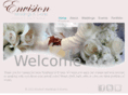 envisionweddingsevents.com