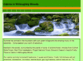acabininwilloughbywoods.com