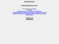 bostonicon.com
