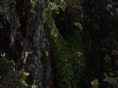 mg-chondros.com