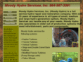 moodyhydro.com