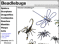 beadlebugs.com