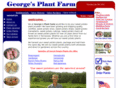 beauregardsweetpotatoplants.com