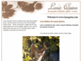 lanaquinn.com