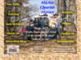 michiequarterhorses.com