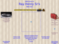 rayhenrysr.com