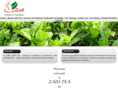 zaidtea.com