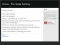 ashtrayscales.com