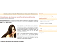 cheveux-extension.com