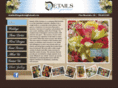 detailsofthegardens.com