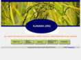 njavara.com