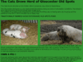 ownapig.com