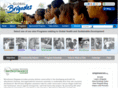 microfinancebrigades.org
