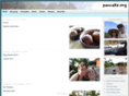 piapa.com