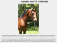 simplesaddleseat.com