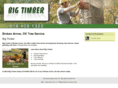 brokenarrowtreeandstump.com