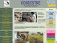 cogecstre.com