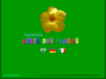 oasisdasflores.com