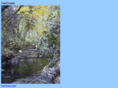owlcreek.org