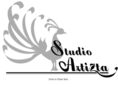 studioartizta.com