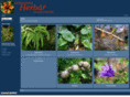 e-herbar.net