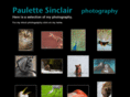 paulettesinclair.com
