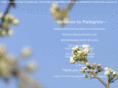 pixiegrins.org