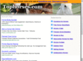 tophorses.com