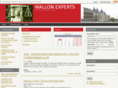 wallon-experts.com