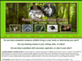 acadianrodent.com