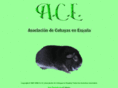 acespain.com