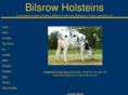 bilsrowholsteins.com