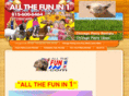 partyplannerschicagoland.com