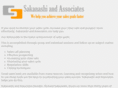 sakanashiandassociates.com