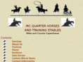 barmcquarterhorses.com