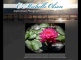 cmichelleolson.com