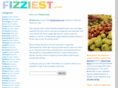 fizziest.com