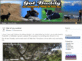 gotbuddy.com