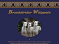 broadstriderwhippets.com