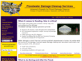 floodwaterdamagecleanupservices.com