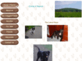 circlevranch.net