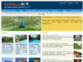 holidayslk.com