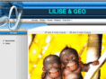 lilise-geo.com