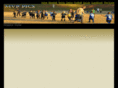 mvppicsonline.com